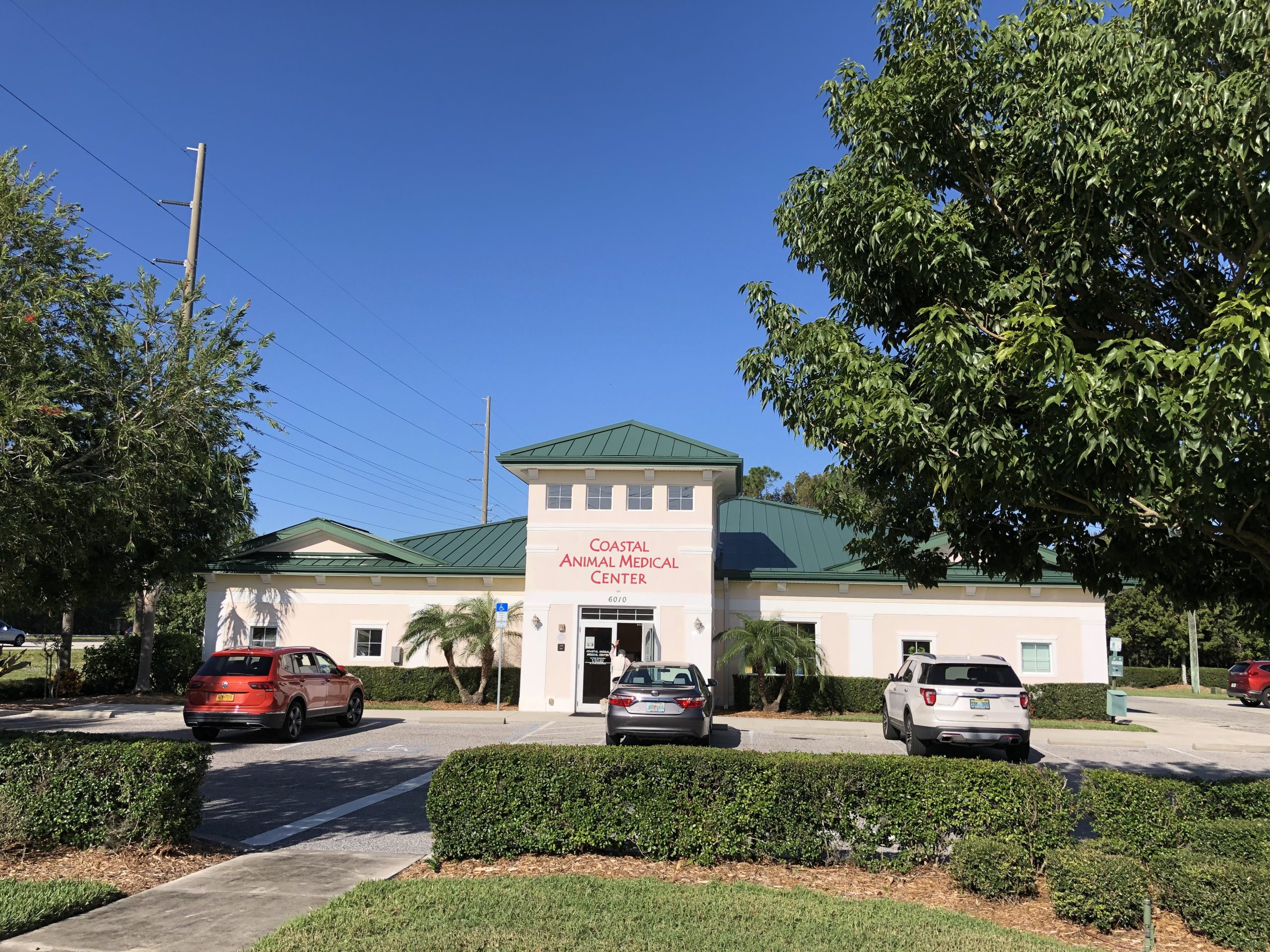 Veterinarian in Bradenton, FL